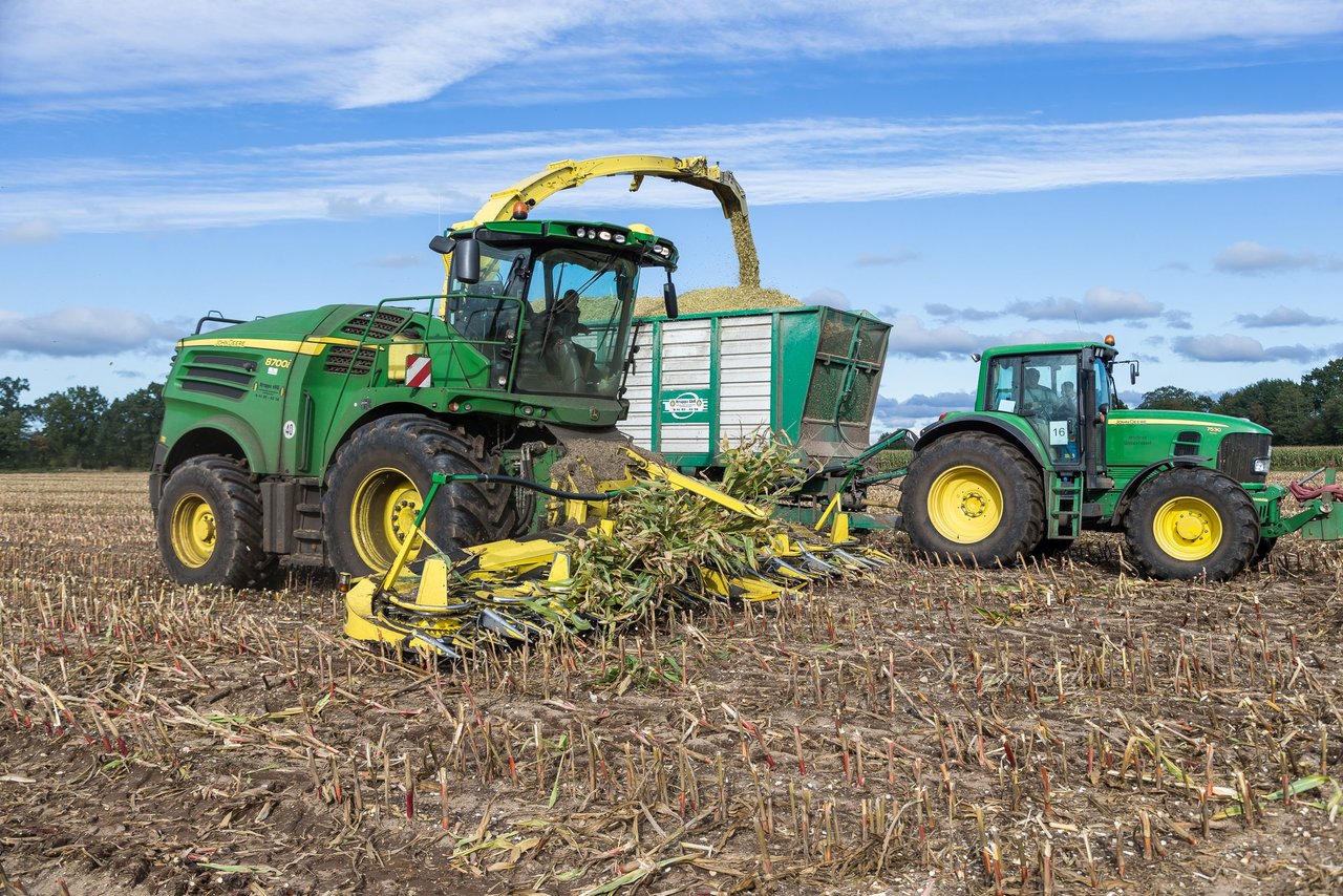 Album: Maisernte am 6.10.19 - 